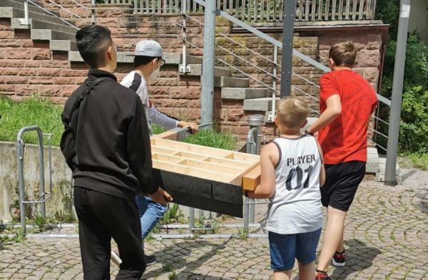 Schüler der Klasse 5/6 stellen Insektenhotel auf